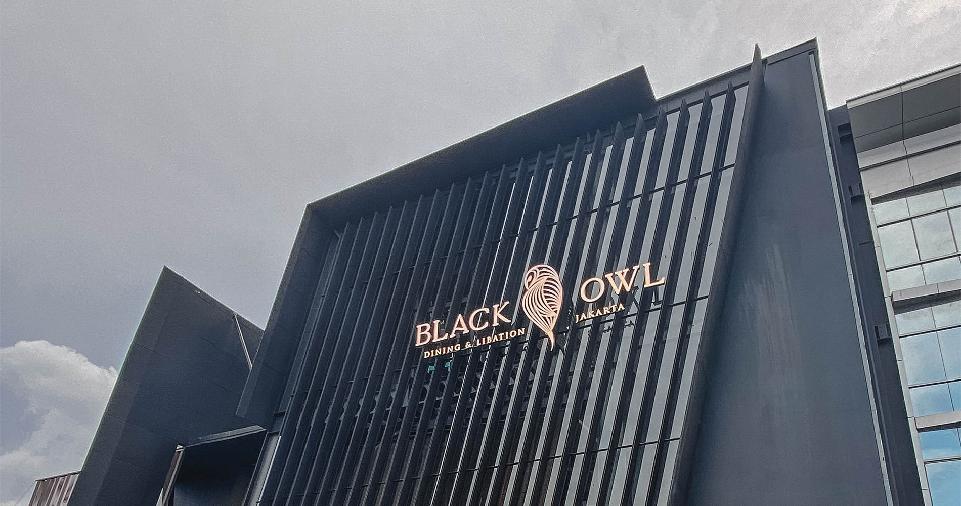 Black Owl in Jakarta